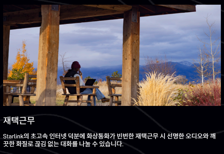 스타링크