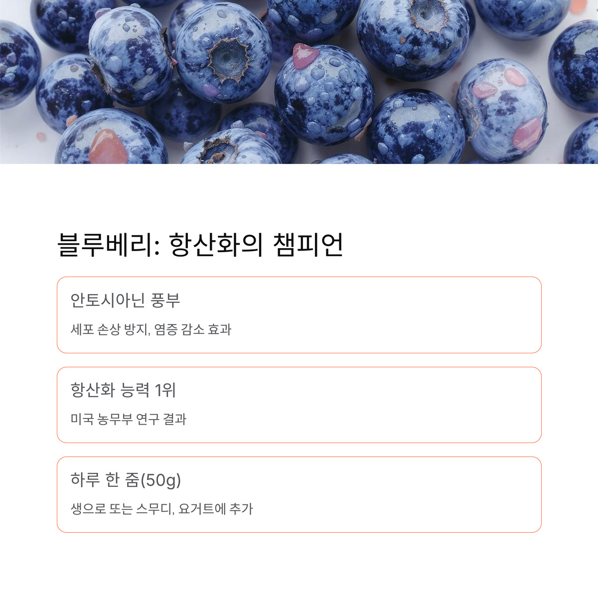블루베리: 항산화의 챔피언
