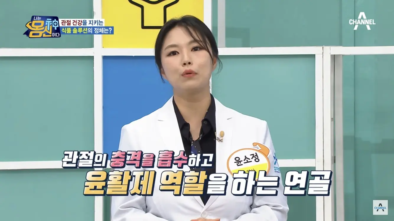 연골의 역할 - 나는 몸신이다 채널A 방송캡쳐