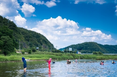 2024 양평메기수염 축제 일정&amp;#44; 예약&amp;#44; 주차장 위치