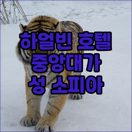 하얼빈 호텔 추천 중앙대가, 성 소피..