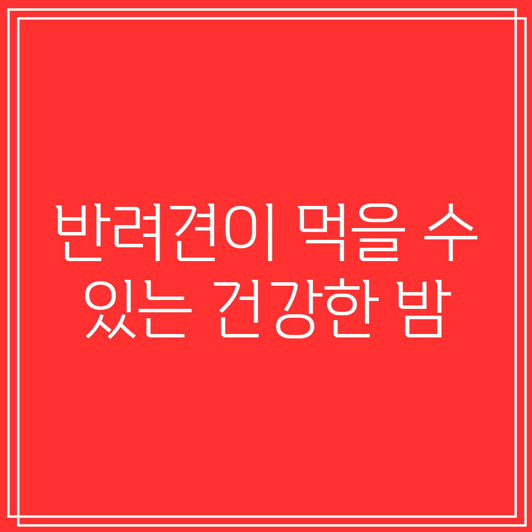 반려견이 먹을 수 있는 건강한 밤