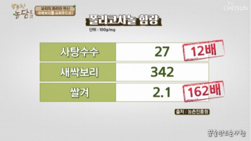 새싹보리분말 6