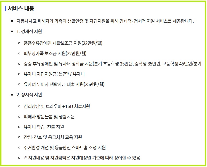 자동차사고 피해자2