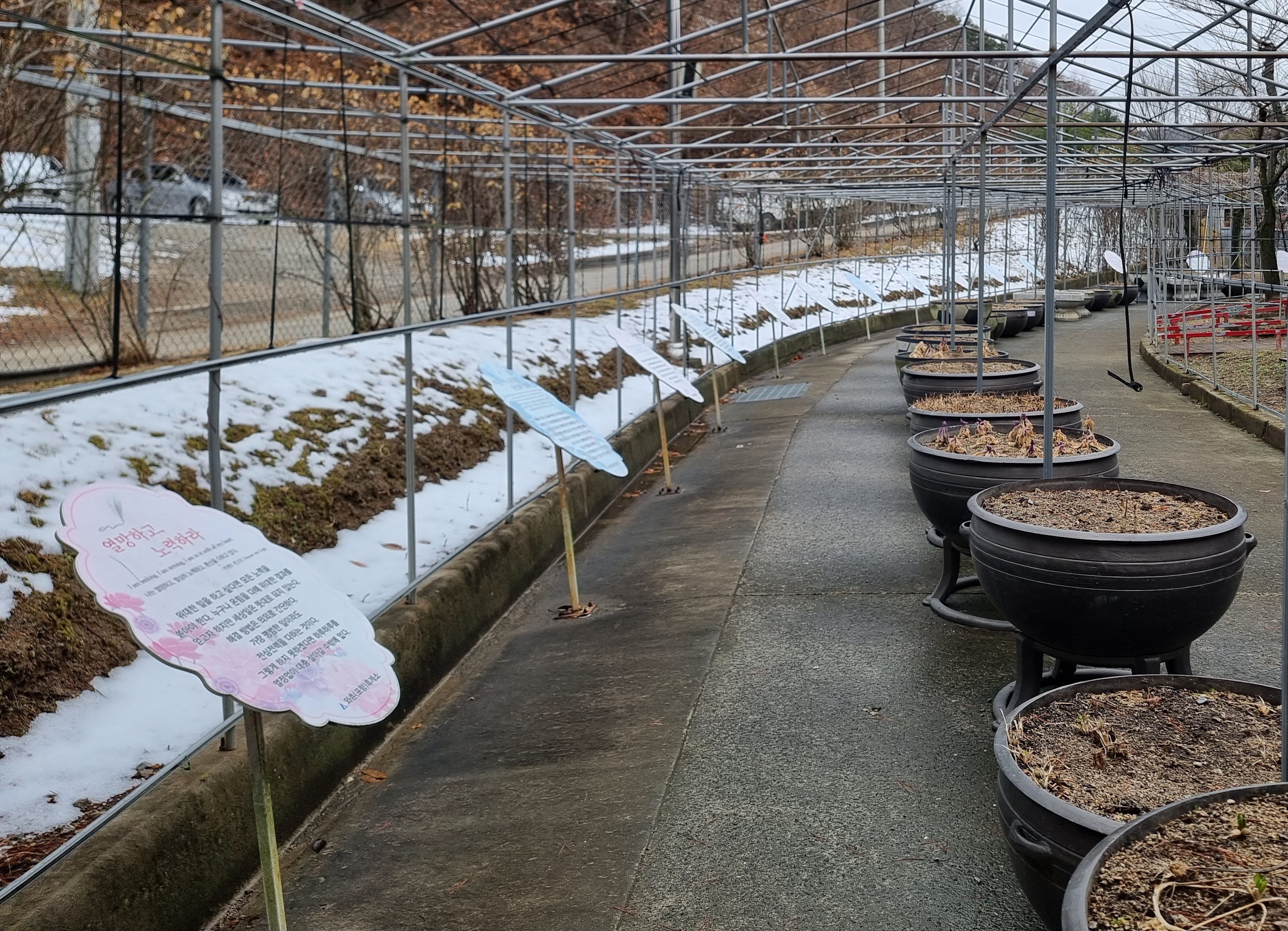 명사의 명언으로 힐링이 되는 자연과 사람 식물원