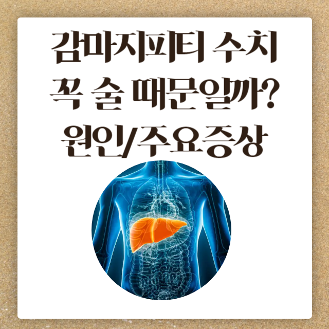 감마지티피 수치