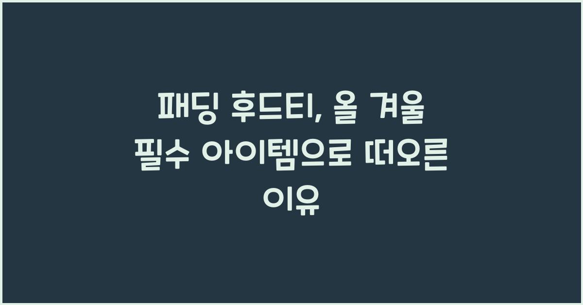패딩 후드티