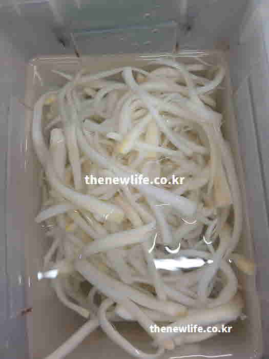 도라지 열매 효능 먹는 법 생 기름