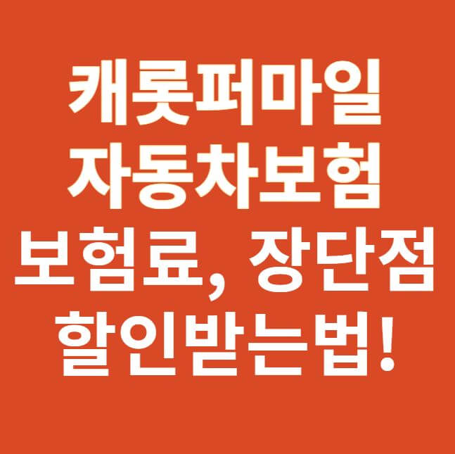 캐롯퍼마일 자동차보험 썸네일