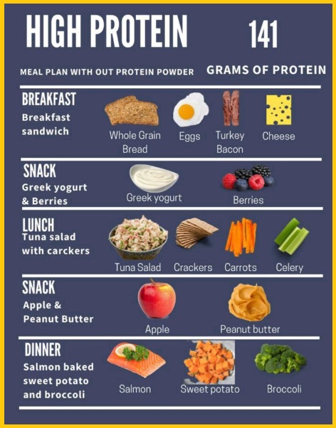 단백질 위주 식단