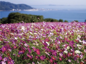 후쿠오카 효도여행