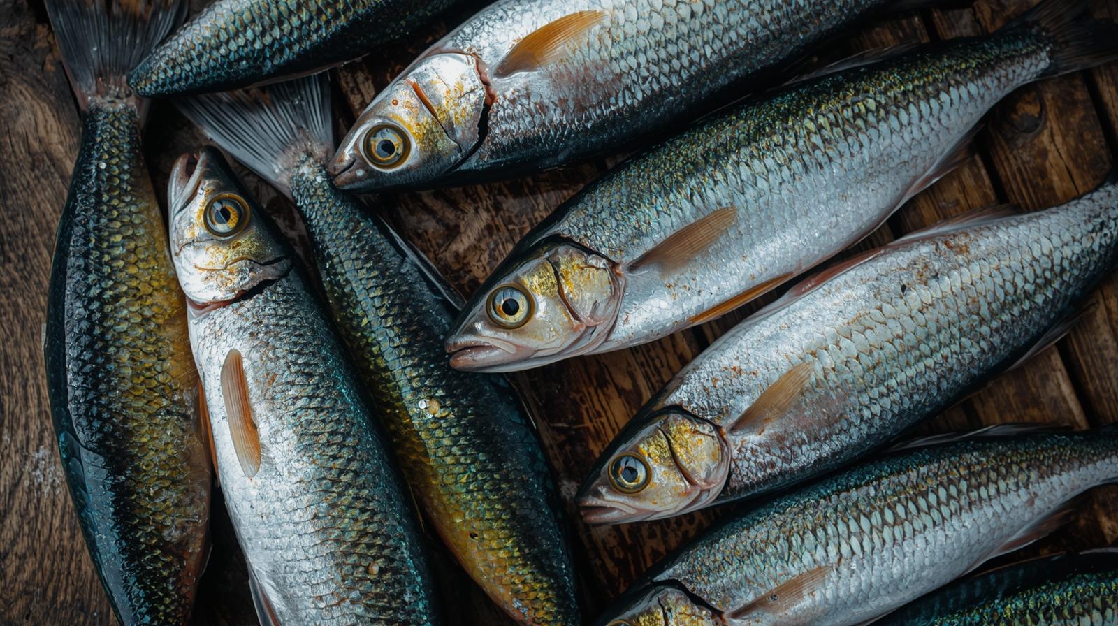 대상포진에 좋은 음식