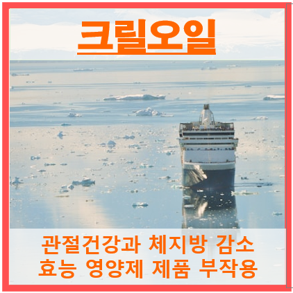 크릴오일 썸네일