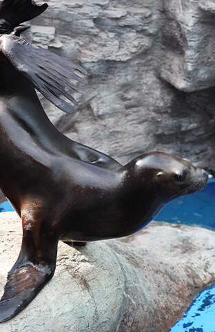 여수 가볼만한 곳 베스트10, 핫플