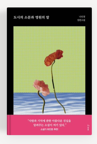 나인경작가의 '도시의 소문과 영원의 말' 책표지.