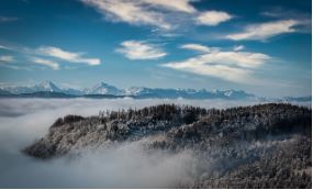 산불 재난지원금 신청하기