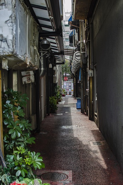 민생회복 소비쿠폰 가맹점 관련 이미지