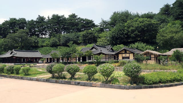 역사학 전염병과 역사