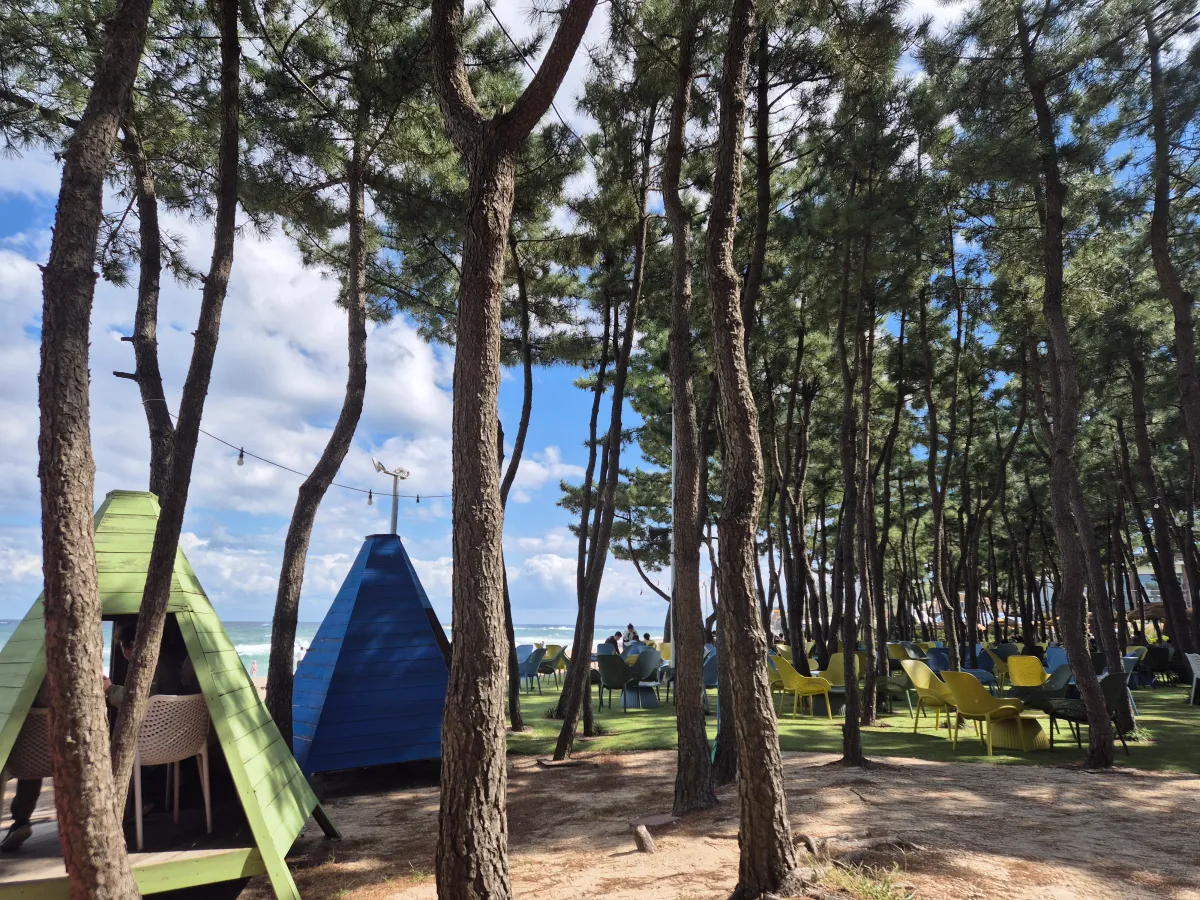 야외좌석_소나무_방풍좌석