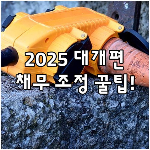 담보 채무 조정 실질적 개선, 202..