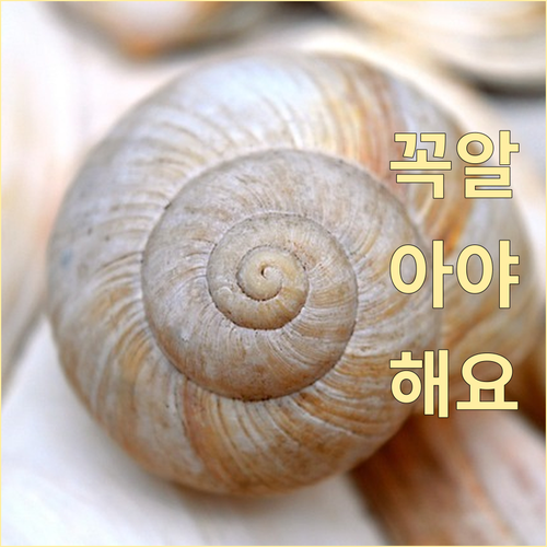 구로구 폐기물 배출 궁금증 해결! 과..