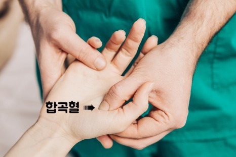 체했을때 증상 체했을때 지압법, 먹으면 좋은 음식 빨간양배추 요리