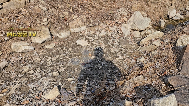 겨울 동안 낙엽과 마른 풀로 덮여 있던 주말농장 연못의 모습입니다. 봄 농사를 준비하며 다시 물을 연결하기 전 상태입니다.