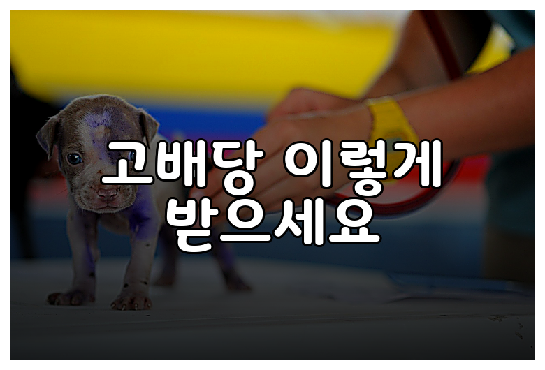 고배당 이렇게 받으세요
