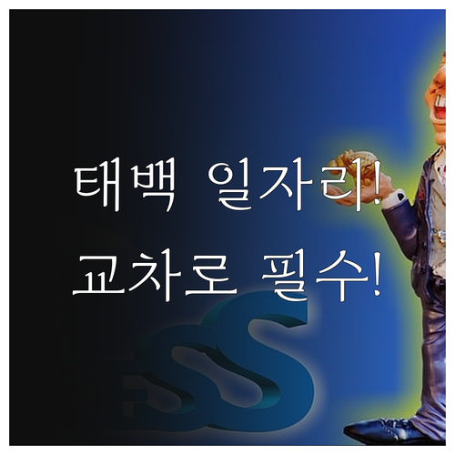 태백시 일자리 정보 강원교차로 통합 ..