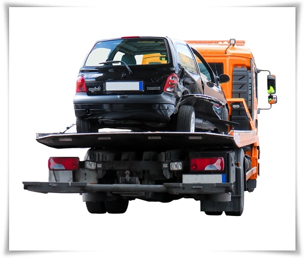 위기 속 희망의 손길! "긴급 돌봄 지원 사업"