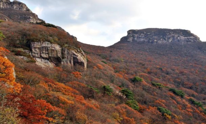 2025 두륜산 단풍 절정 시기 공개! 가을 인기 등산코스 best 3