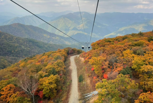 2025 가리왕산 단풍 여행 추천 ❘ 억새명소, 포토스팟, 가족 등산 코스