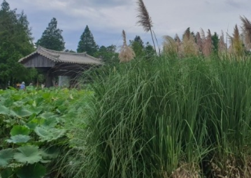 태안 청산수목원 여행지