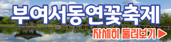 부여서동연꽃축제 둘러보기