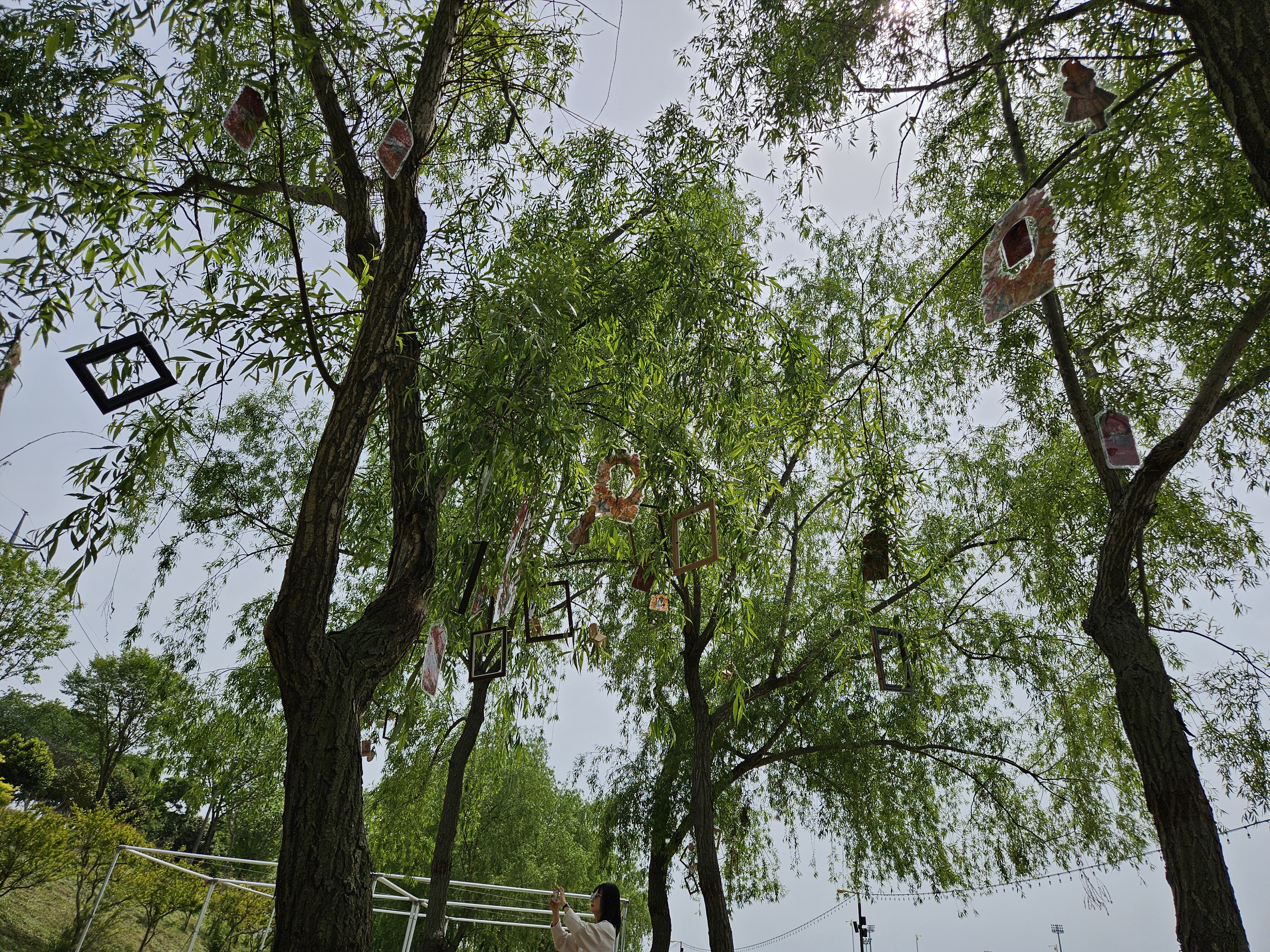 5월의 장성, 황룡강 꽃길 따라 축제 속으로!