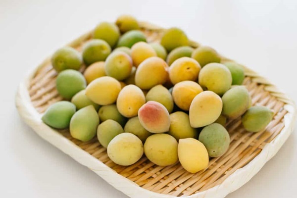 매실 액기스 효능