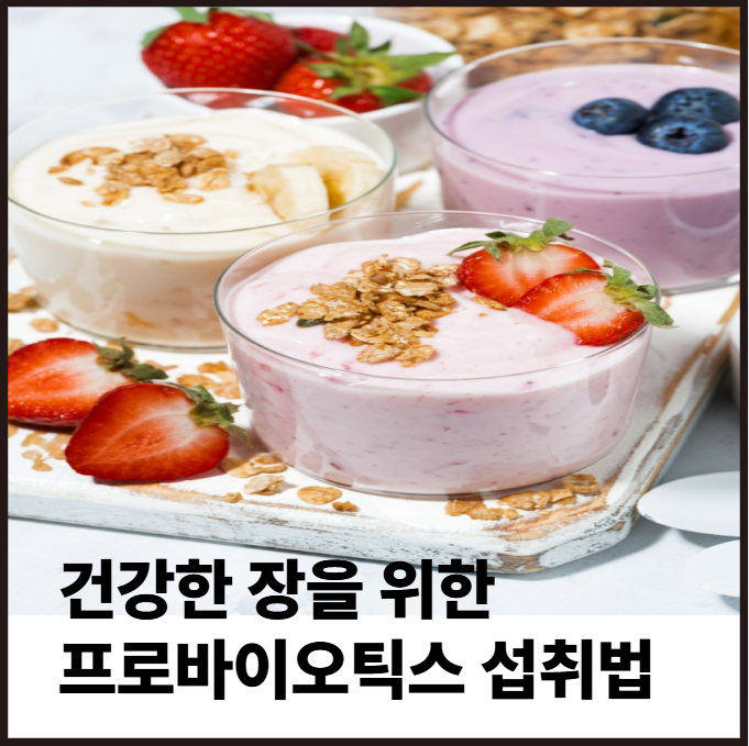 건강한 장을 위한 프로바이오틱스 섭취법