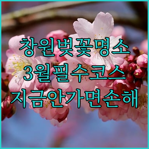 창원 성산구 3월 나들이 명소 추천 ..