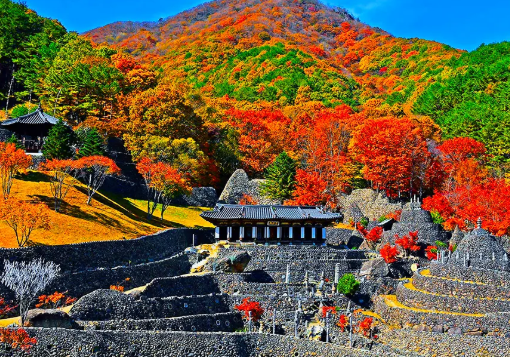 삼성궁