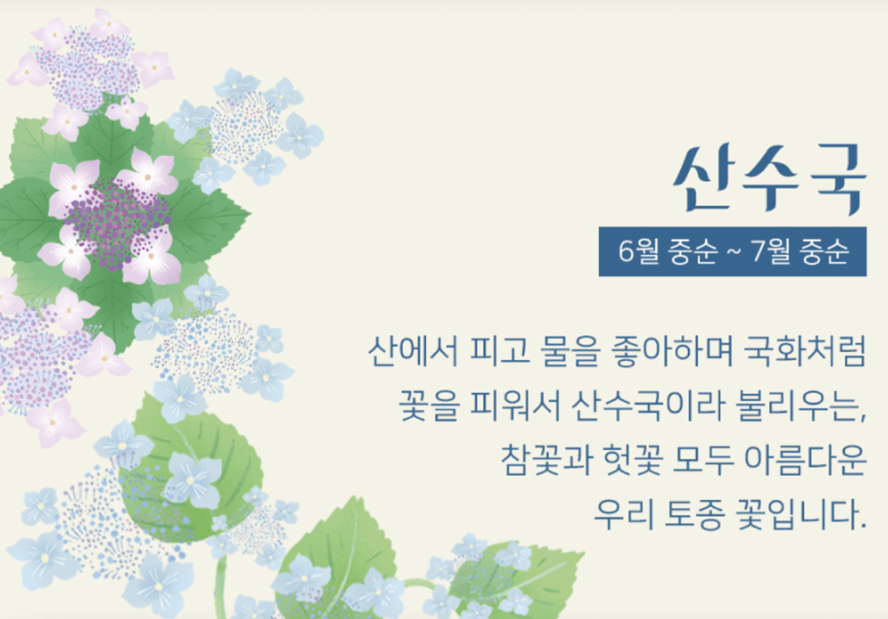 화담숲 여름 수국축제 일정 및 예약방법