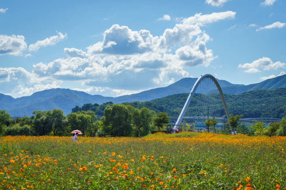 남양주 물의 정원