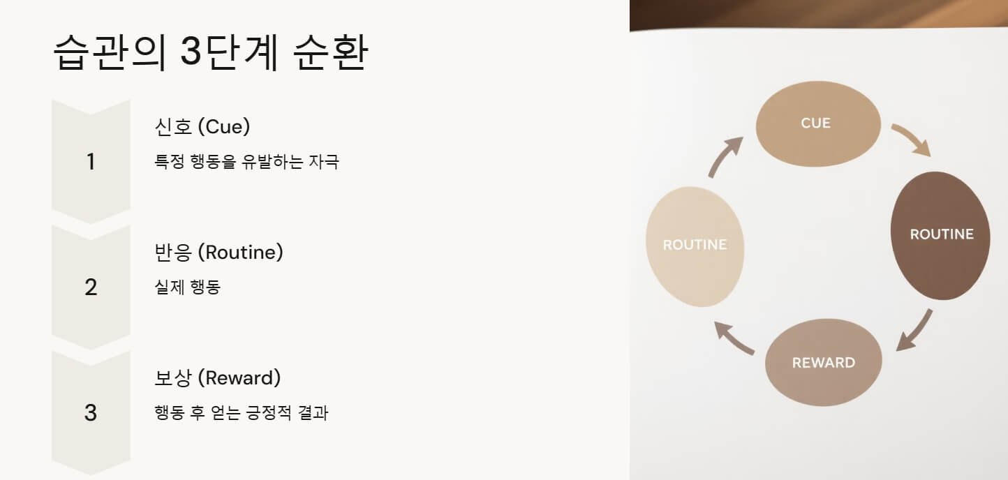 습관의 중요성