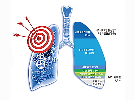 폐암 표적 치료제 이미지
