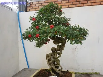 압해도 분재공원 근처 선착장에서의 낚시 농어와 도다리 포인트 소개 완벽 낚시터_19