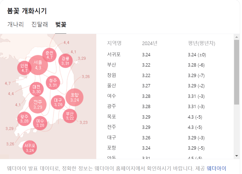 벚꽃개화시기