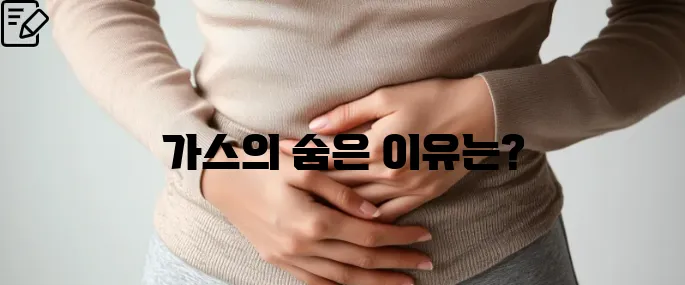 배에 가스가 차고 방귀를 자주 뀜 원인부터 해결책까지 한번에 알아보기