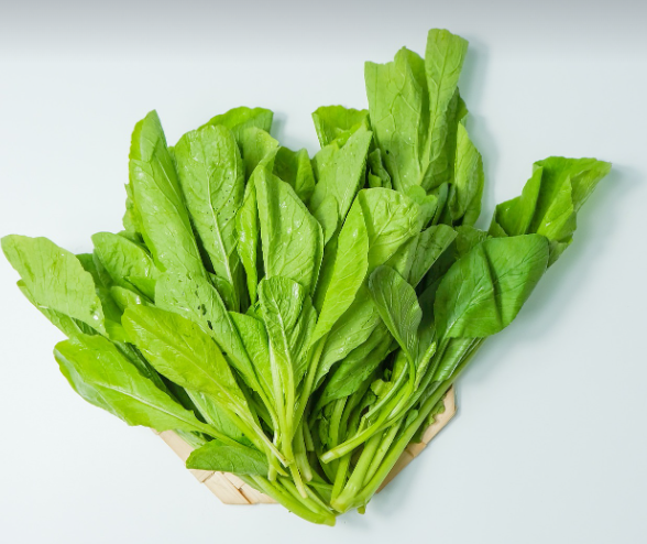시금치