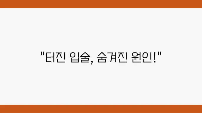 입술 트임 터짐 원인과 매끄러운 입술 만드는 방법