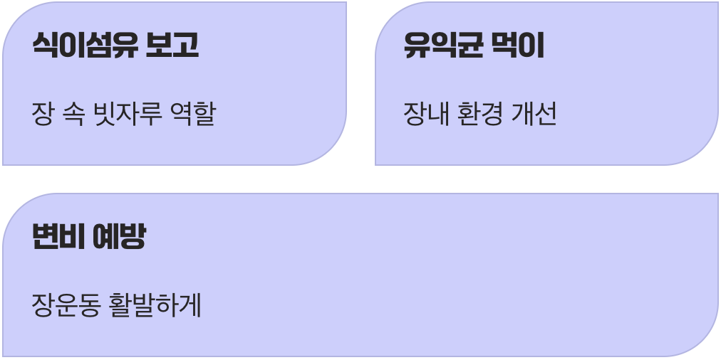 장 건강을 위한 보이지 않는 청소부