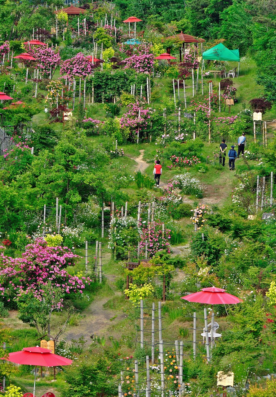 죽화경 정원 내부 전경 사진